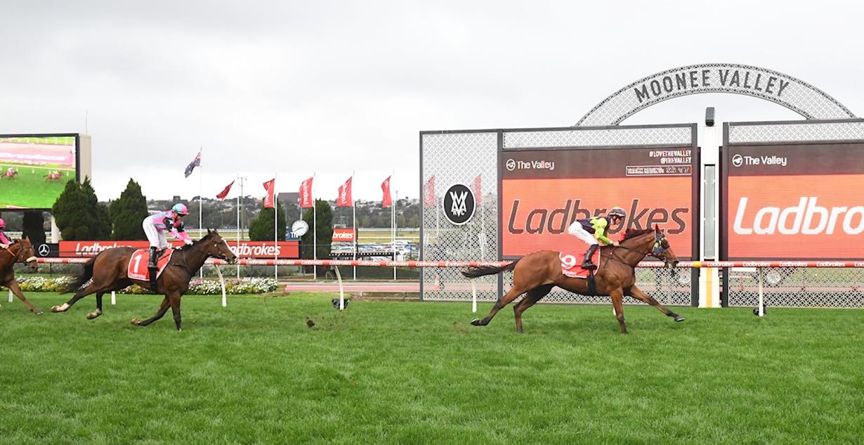 El Rocko - Moonee Valley 26th April 2025